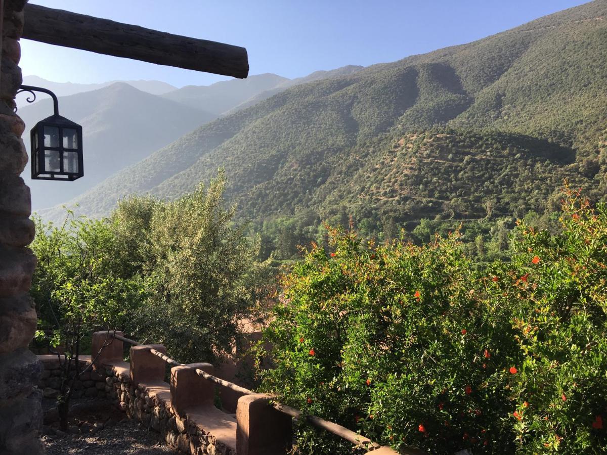 Kasbah Africa Bed and Breakfast Ouirgane Εξωτερικό φωτογραφία