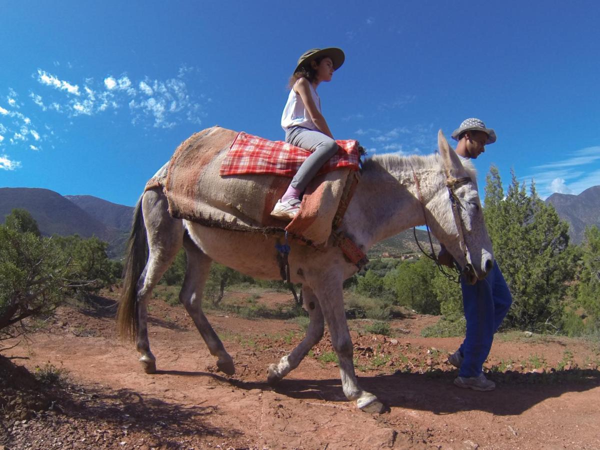 Kasbah Africa Bed and Breakfast Ouirgane Εξωτερικό φωτογραφία