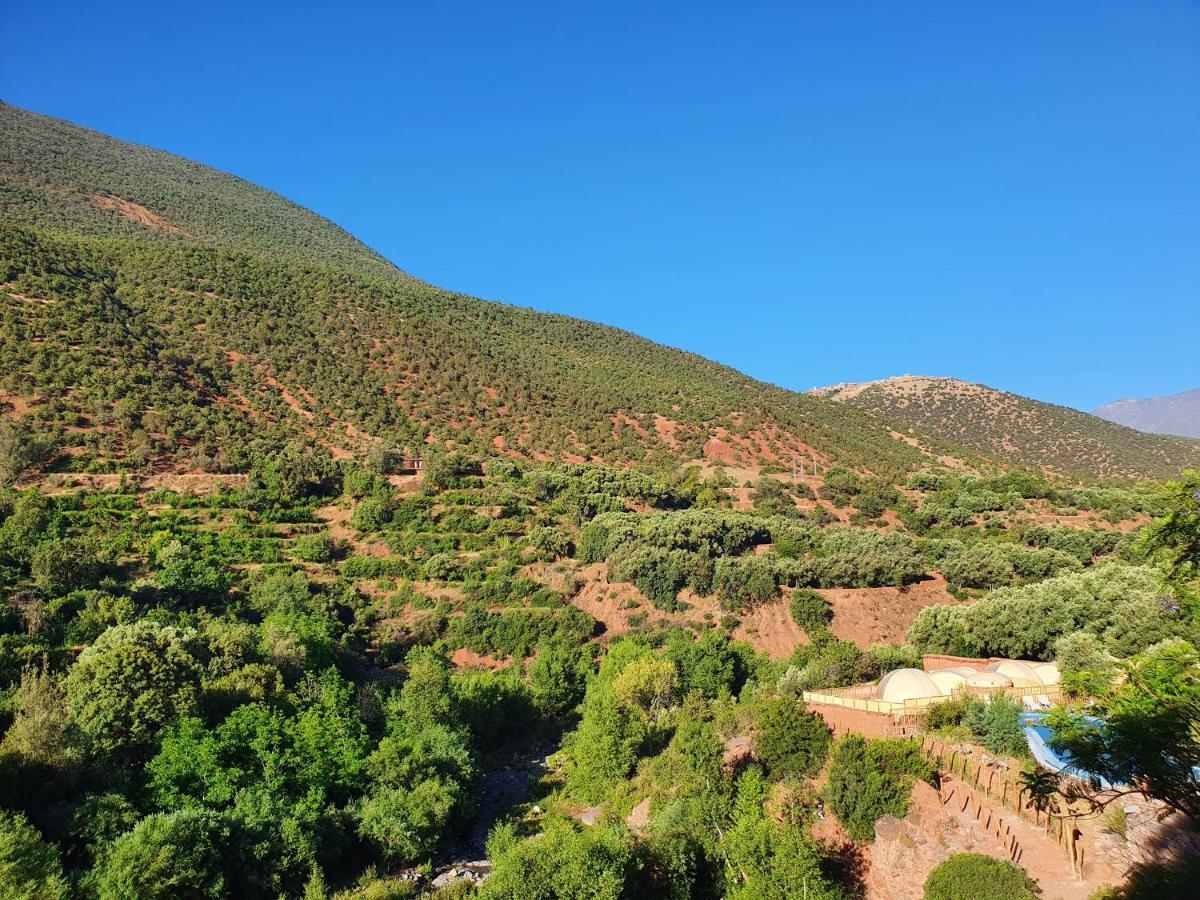 Kasbah Africa Bed and Breakfast Ouirgane Εξωτερικό φωτογραφία