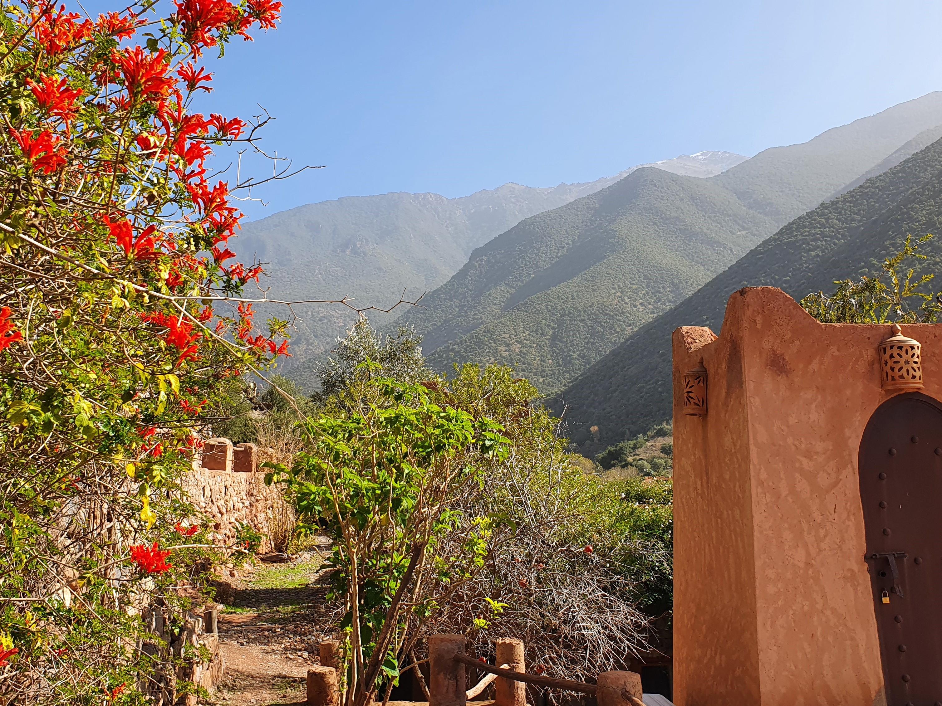 Kasbah Africa Bed and Breakfast Ouirgane Εξωτερικό φωτογραφία