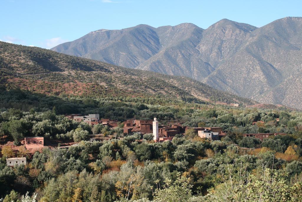 Kasbah Africa Bed and Breakfast Ouirgane Εξωτερικό φωτογραφία